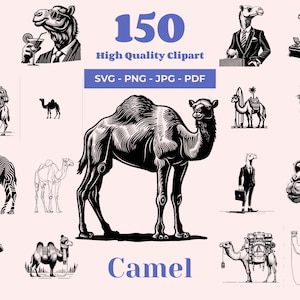 Pacchetto SVG cammello - 150 file di taglio - SVG dromedario - Disegni di animali del deserto per taglio laser, Cricut e sublimazione - Opere d'arte culturali