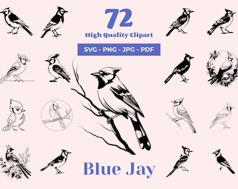 JAYWALK JAY-BIRDS PRIVATE VIEWS 15枚セットレア 2025年最新】JAYWALK LIVE CDの人気アイテム - メルカリ