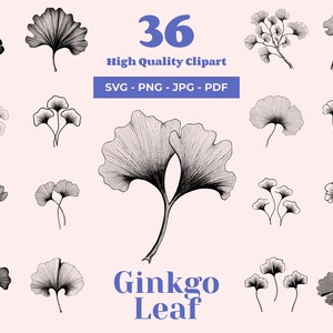 イチョウの葉の SVG バンドル - 36 のデザイン - 植物のクリップアート - レーザーカット、クリカット、昇華アートに最適 - イチョウの葉のイラスト