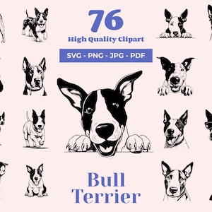 Bull Terrier SVG Bundle - 76 Cut Files - British Breed - Gladiator Dog - Kid-friendly Pet - Sublimation and Cricut Ready Designs