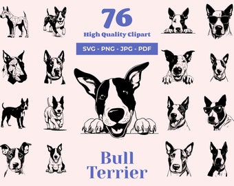 Può includere: Un set di 76 illustrazioni vettoriali in bianco e nero di Bull Terrier in varie pose. Le illustrazioni includono un Bull Terrier con occhiali da sole, un Bull Terrier che sporge da una superficie e un Bull Terrier con la lingua di fuori. Il testo "Bull Terrier" è scritto sotto le illustrazioni.