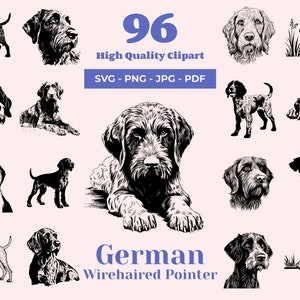 Pacchetto SVG di Bracco Tedesco a Pelo Duro - 96 file di taglio - Diverse pose del cane - File di sublimazione - Clipart di razza da caccia