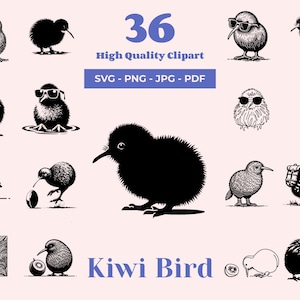 Paquete SVG de pájaro kiwi: 36 archivos de corte: diseños de pájaros de Nueva Zelanda para corte por láser, Cricut y sublimación: impresiones de camisetas de pájaro kiwi: imágenes prediseñadas
