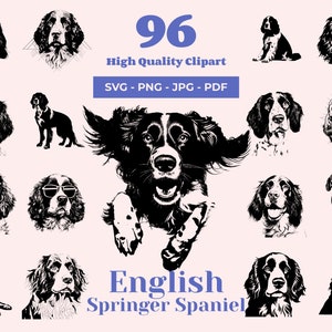 Bundle SVG Springer Spaniel anglais - 96 modèles - clipart épagneul - Art chien de chasse - fichiers pour sublimation - Clipart épagneul - fichiers Laser