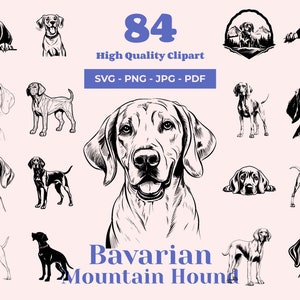 Bayerischer Berghund SVG-Bundle - 84 einzigartige Designs - Dufthund Kunst - Sublimationsdateien - Ortungshund Clipart - Laserdateien