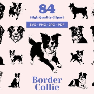 Paquete de Border Collie SVG: 84 archivos de corte, ilustraciones de perros enérgicos, siluetas de Collie, diseños de mascotas enérgicas, Glowforge SVG