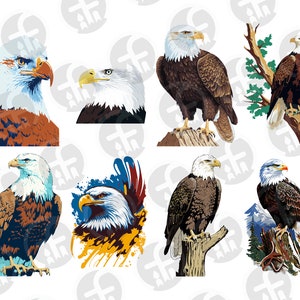 Bald Eagle SVG Bundle - 12 Unique Designs SVG & PNG - Flying Eagle Svg ...
