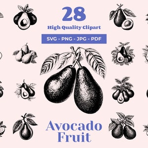 Pacchetto SVG Avocado - 28 Design - Clipart di cibo sano - Pera coccodrillo - Pera estiva - Aguacate - Palta - Arte superfood - File laser