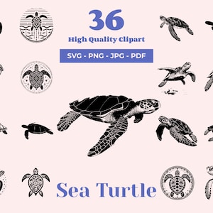 Zeeschildpad SVG - 36 ontwerpen - zwart-wit clipart - oceaanthema - Cricut & lasergesneden klaar - zeeleven - schildpad svg