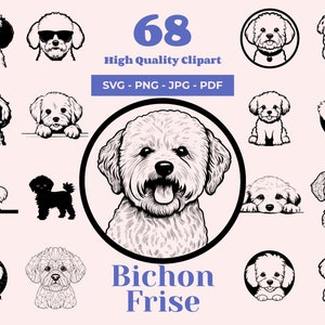 Bichon Frise SVG Bundle - 68 Designs - Bichon clipart - Cão de colo cacheado - Raça francesa - Perfeito para corte a laser e Cricut - Retrato de Bichon