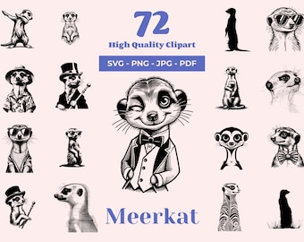May include: A set of 72 black and white illustrations of meerkats in various poses. The meerkats are drawn in a cartoon style and some are wearing hats, sunglasses, or bow ties. The text "72 High Quality Clipart" and "SVG - PNG - JPG - PDF" is displayed above the meerkats. The text "Meerkat" is displayed below the meerkats.
