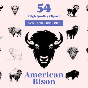 American Bison SVG Bundle: 56 Buffalo Designs (Digital Download)