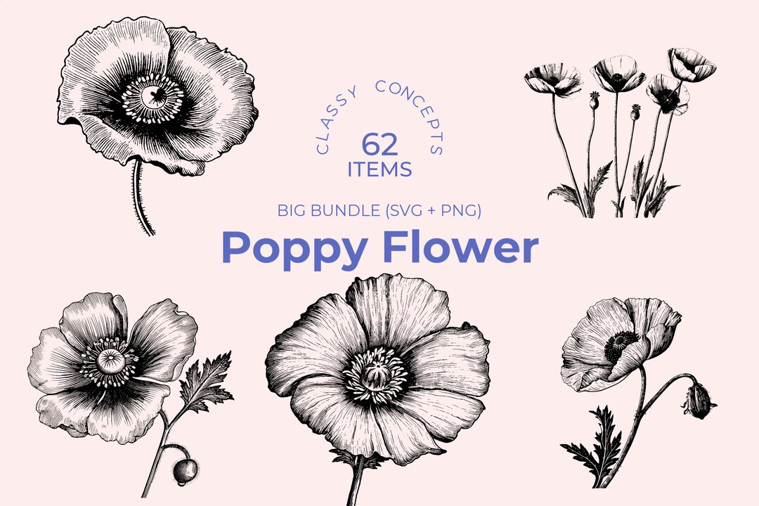 Poppy Flower SVG Bundle 62 Vintage Engravings Cut Files Seasonal Bloom ...