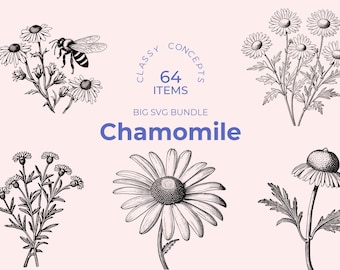 Chamomile SVG bundle - 64 Vintage engravings - Cut files - Herbal Elegance in Dark Academia