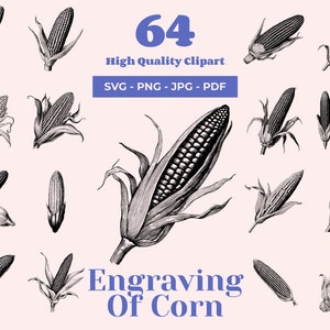 Vintage Corn SVG Bundle: 64 Dark Academia Farming Clipart (Digital Download)