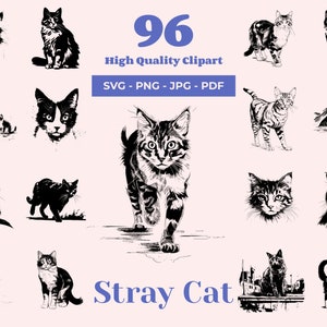 Paquete SVG de gato callejero: 96 diseños únicos, arte de gato salvaje, ilustraciones de gatos callejeros, imágenes prediseñadas de gatos urbanos, gato de Estambul