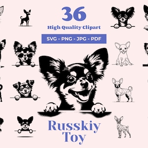 Russkiy Toy SVG-Bundle - 36 Schnittdateien - Zarte Spielzeughund Kunst - Sublimation und transparente PNG - Petite Canine Clipart