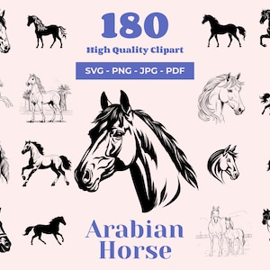 Bundle cheval arabe SVG - 180 modèles uniques - fichiers pour sublimation - équidés élégants - chevaux du désert - SVG équestre - cheval clipart