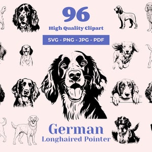 May include: A set of 96 black and white vector illustrations of German Longhaired Pointers in various poses. The illustrations are perfect for use in digital and print projects.
