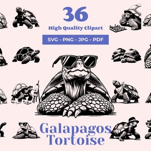 Pode incluir: Um conjunto de 36 ilustrações em preto e branco de tartarugas das Galápagos em várias poses, incluindo o uso de chapéus, óculos de sol e jogando xadrez. As ilustrações são de alta qualidade e perfeitas para usar em projetos digitais ou impressos.