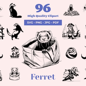 Frettchen SVG - 96 Schnitt Dateien - Verspieltes Haustier für Laser-Cutting, Cricut und Sublimation - Frettchen in Hängematte - Frettchen mit Spielzeug - Frettchen Clipart