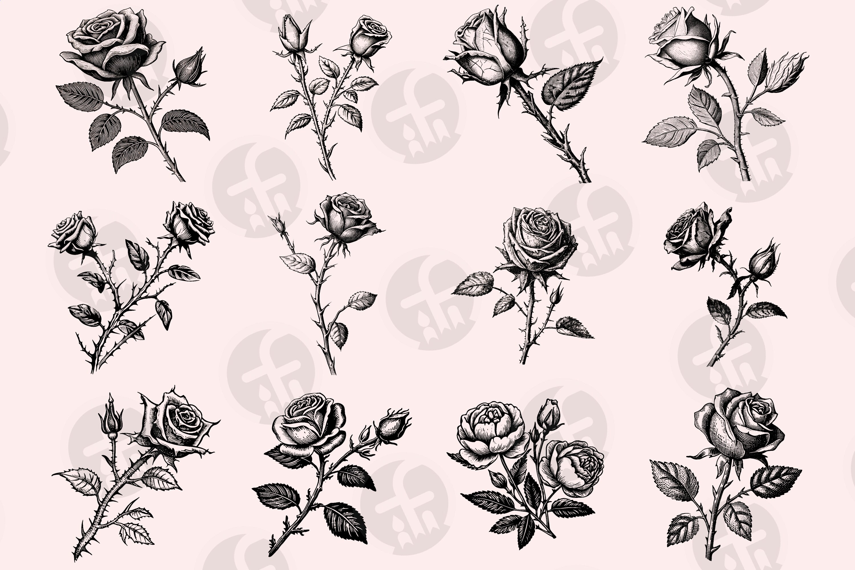 Rose With Thorns SVG Bundle - 36 Vintage Engravings - Cut