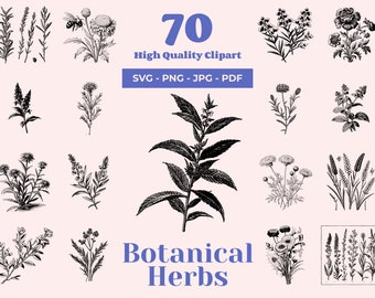 Botanical Herbs SVG Bundle: 70 Vintage Floral Clipart Designs (Digital Download)
