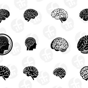 脳のシルエット SVG バンドル: 18 種類の AI デザイン (即時ダウンロード)
