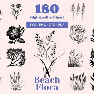 Bundle plage flore SVG - 180 fichiers coupés - décoration de maison de plage - plantes côtières - botanique - parfait pour la gravure au laser, la cricut et l'art mural