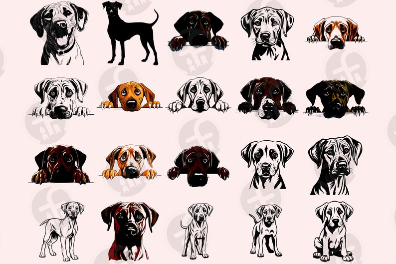 Icon Rhodesian Ridgeback Rhodesian Ridgeback SVG Bundle: 128 Lion Dog Cut Files (digital ...