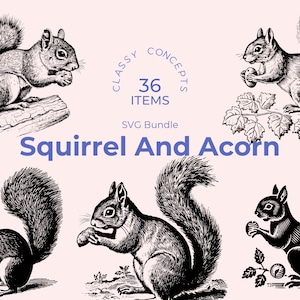 Lot SVG écureuil et gland - 36 gravures vintage - Fichiers de coupe - Forest Whimsy, Dark Academia, noir et blanc, inspiré de la nature