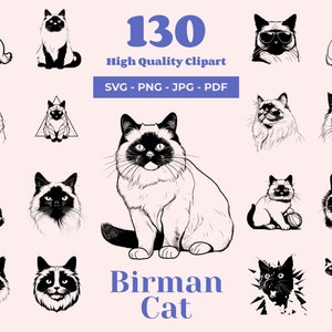 Birma Katze SVG-Bundle - 130 Schnittdateien - Cricut bereit - Sublimation - Glückliche Katze - Geschenk für Katzenliebhaber