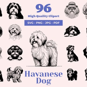 Havaneser Hund SVG-Bundle - 96 Schnittdateien - Verspielte Begleiter Kunst - Sublimation und transparente PNG - Seidiger Hund Clipart - Havaneser png