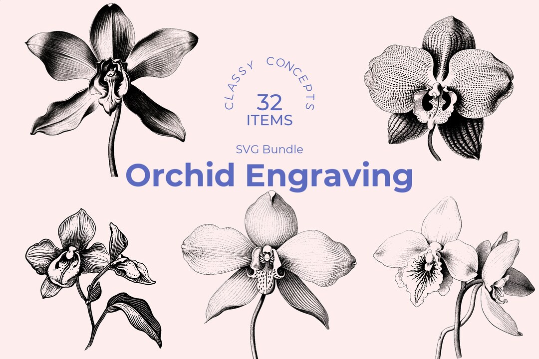 Orchid SVG Bundle: 32 Vintage Engravings, Floral Cut Files