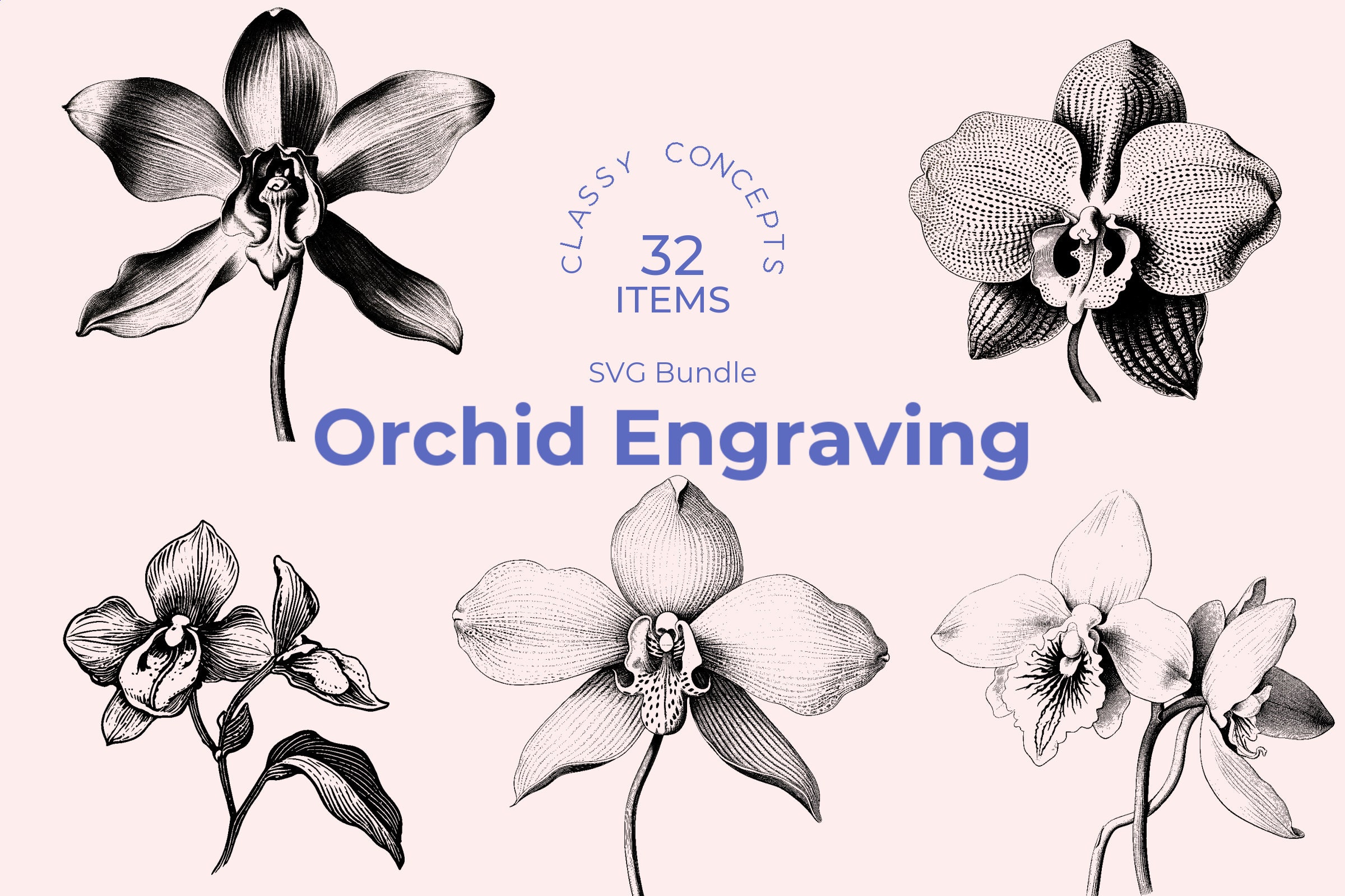 Orchid SVG Bundle: 32 Vintage Engravings, Floral Cut Files