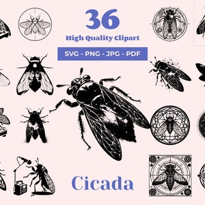 Cicada SVG Bundle: Insect Clipart, Laser Cut Files (Digital Download)