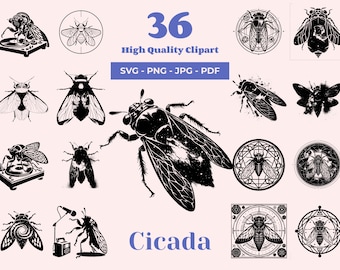 Pode incluir: Um conjunto de 36 imagens de clipart de cigarras de alta qualidade em preto e branco. As imagens incluem cigarras em várias poses, incluindo voando, sentadas e tocando música. As imagens são perfeitas para usar em projetos digitais e impressos.