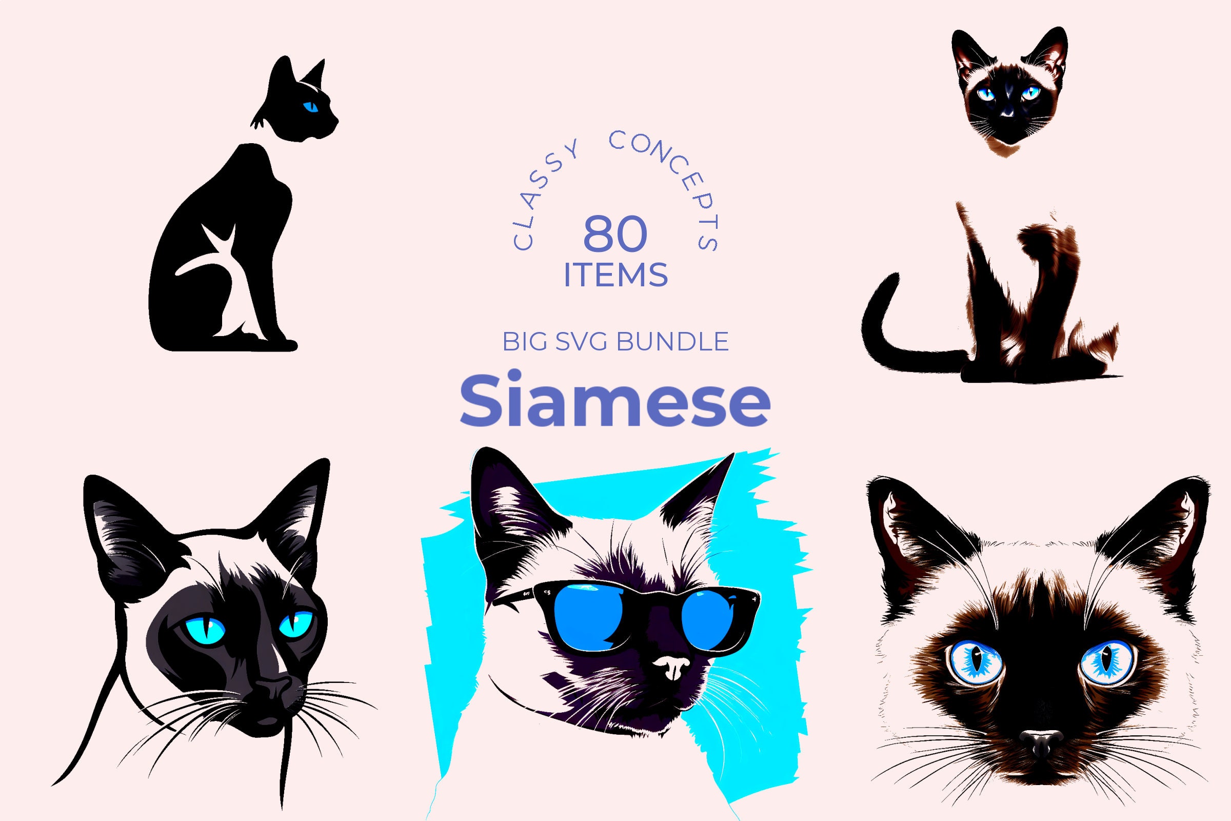 807 Siamese Cat Angry Images, Stock Photos, 3D objects, & Vectors