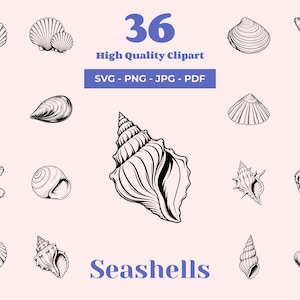 May include: A collection of 36 black and white seashell illustrations featuring various spiral, bivalve, and cone shapes. The text 36 High Quality Clipart SVG - PNG - JPG - PDF and the word Seashells are displayed in blue on a light pink background.