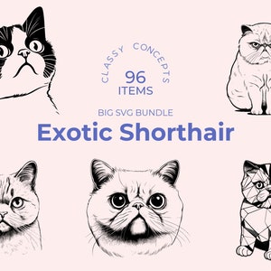 Exotisch Kurzhaar Katze SVG Bundle - 96 Cut Files - Keine Schattierung - Abgerundetes Gesicht - Verspielte Natur - Hoher Kontrast - Sublimation - Cricut Bereit