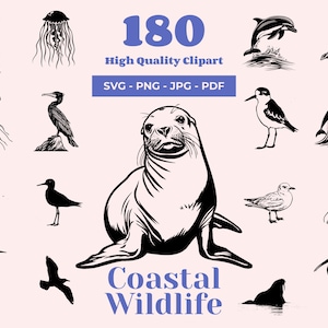 Pacchetto SVG fauna selvatica costiera - 180 file tagliati - Clipart di animali e uccelli marini - Natura in bianco e nero - Oceano - Pronto per incisione laser