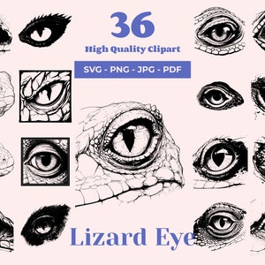 Eidechsenauge SVG Bundle - 36 Designs - Reptilian Gaze Clipart - Schwarzweiße Eidechse Illustrationen - Detailliertes Auge - Am besten für Lasergravur geeignet
