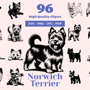 Paquete SVG de Norwich Terrier: 96 archivos de corte: arte enérgico de perros pequeños: sublimación y PNG transparente: imágenes prediseñadas de terrier