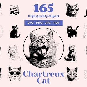 Chartreux Katze SVG-Bundle - 165 Designs - Katzen Clipart - Haustierporträts - Stilvolle Katzenkunst - Laser Cut Ready - Cricut Silhouette Designs
