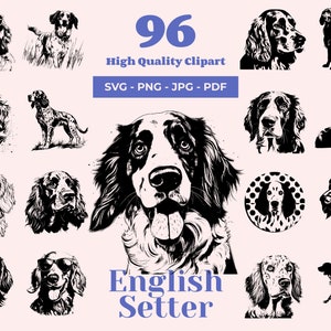 Set de Setter anglais SVG - 96 fichiers coupés - Art chien de sport classique - Sublimation et PNG transparent - Clipart canin gracieux