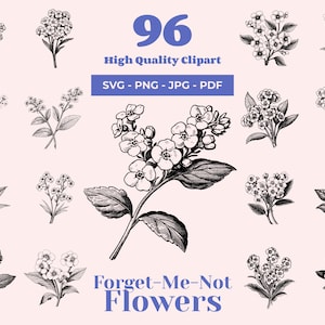 Forget-Me-Not fleurs SVG - 96 modèles - Clipart botanique - Svg floral élégant - idéal pour la découpe laser, la Cricut et l'art mural