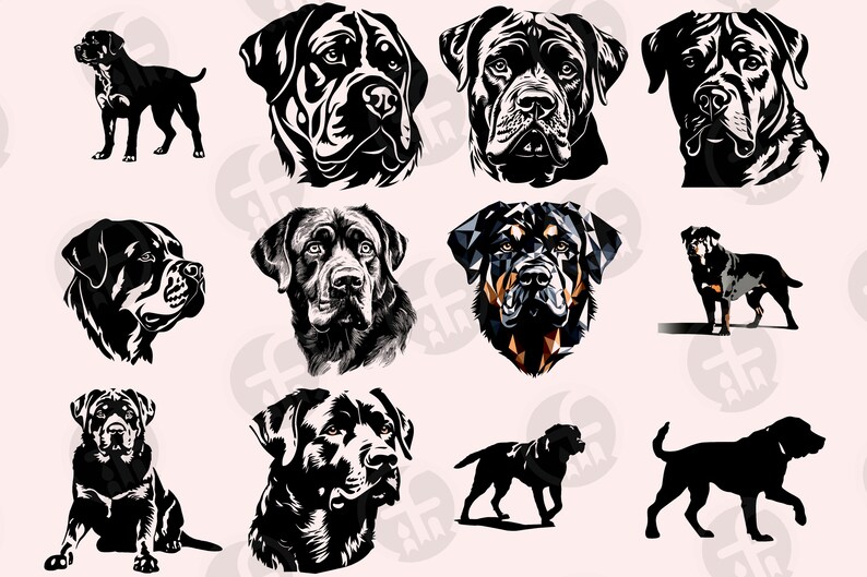 Rottweiler SVG Bundle - 80 Cut Files - Rottie Art - DIY Craft Projects ...