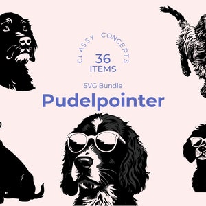 Pudelpointer SVG-bundel - 36 gesneden bestanden - veelzijdige jachthond kunst - sublimatie en transparante PNG - honden clipart