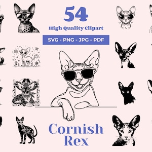 Cornish Rex Cat SVG Bundle: Quirky Feline Clipart (54 Designs)