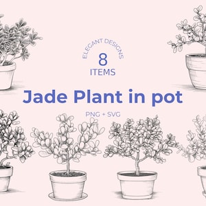 Jade Plant SVG Bundle - 8 Crassula Ovata SVG - Money Plant Minimalist Thick Line Art - Black and White Succulent SVG - Digital Download